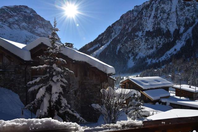 Appartements Myrtilles - Pralognan la Vanoise