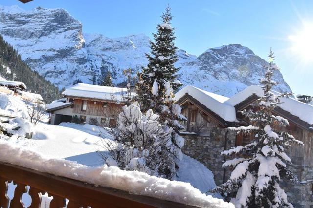 Appartements Myrtilles - Pralognan la Vanoise
