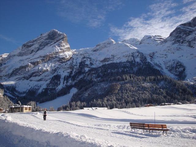 Appartements Plan D'amont - Pralognan la Vanoise