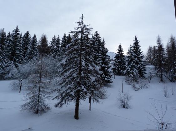Appartements Aiguille Grive Bat Ii - Les Arcs 1800