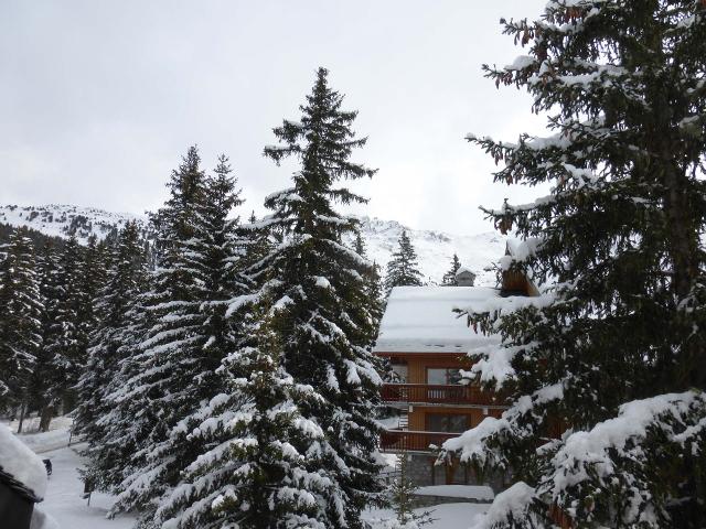 Appartements Les Dauphinelles - Méribel Altiport 1700