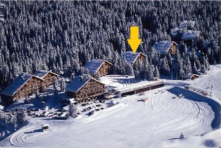 Appartements Les Dauphinelles - Méribel Altiport 1700