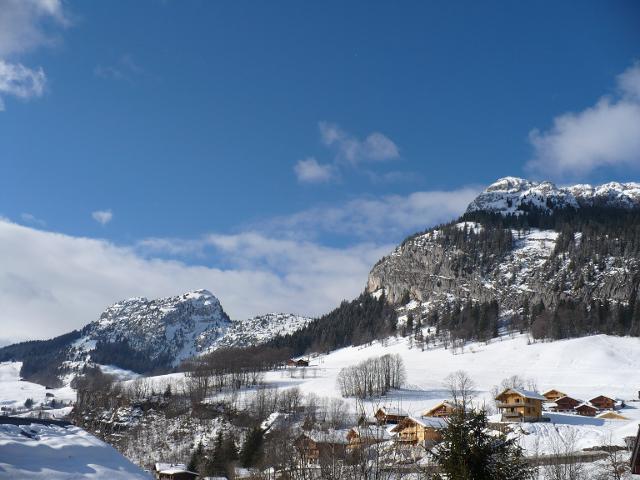 Appartement Dryade 301 - Le Grand Bornand