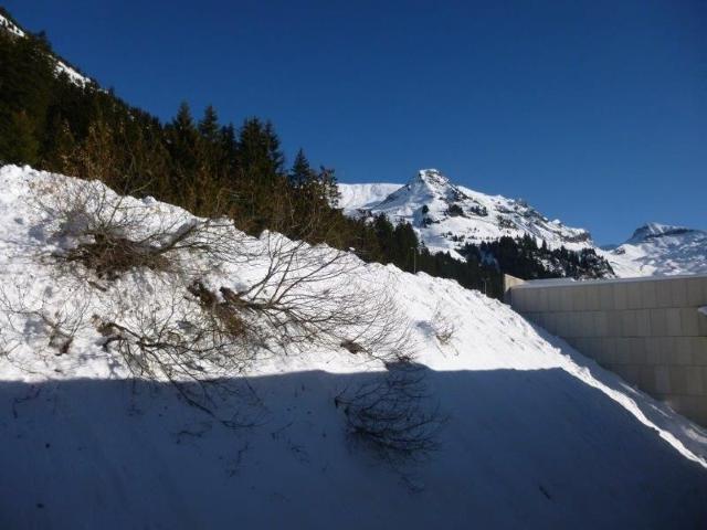 Flats LA PETITE OURSE - Flaine Forêt 1700