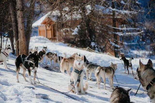 Résidence Sunêlia Les Logis d'Orres 3* - Les Orres