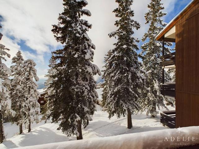 Appartement Vanoise VAN401 - La Rosière