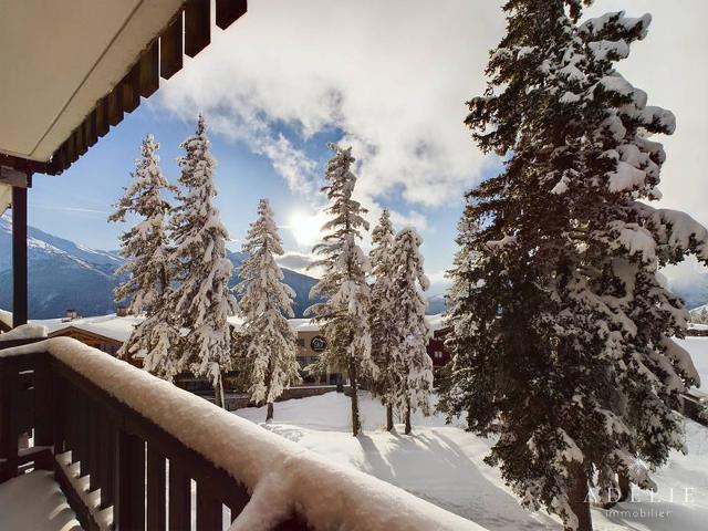 Appartement Vanoise VAN401 - La Rosière