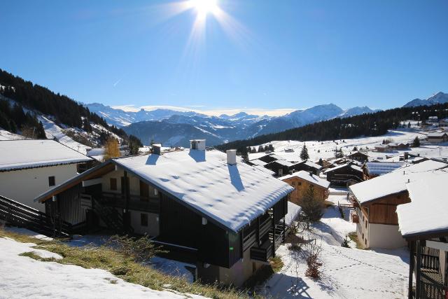 Appartements Bouquetin - Les Saisies