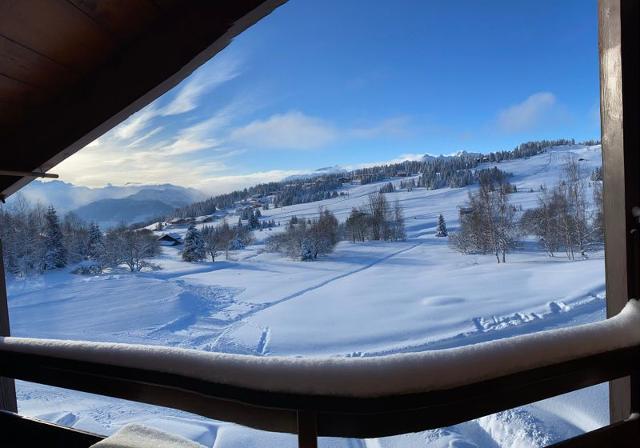 Appartements Mont Blanc C - Les Saisies