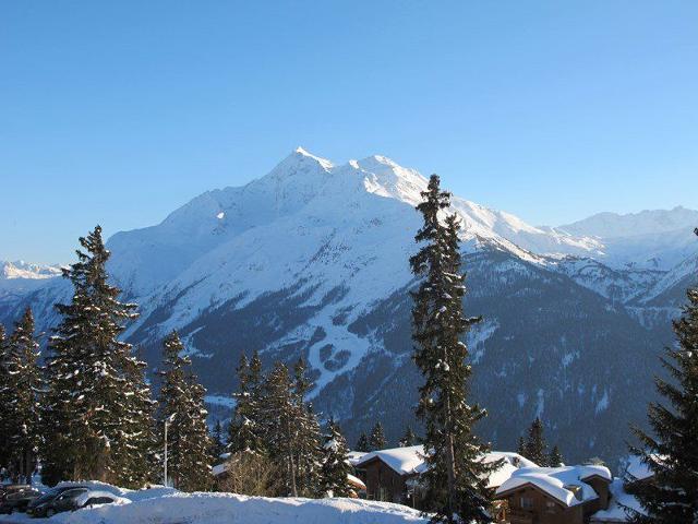 Appartement Bouquetins A BQA107 - La Rosière