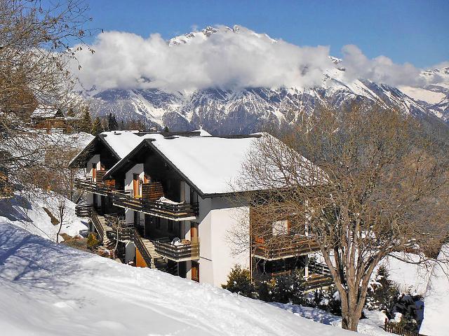 appartement Les Arolles 704 - La Tzoumaz