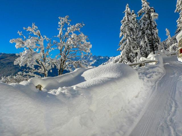 Châlet Château Lapin - Bagnes - Verbier