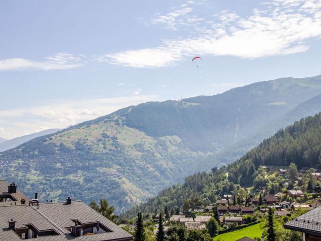 Flat Valaisia 34A - Nendaz