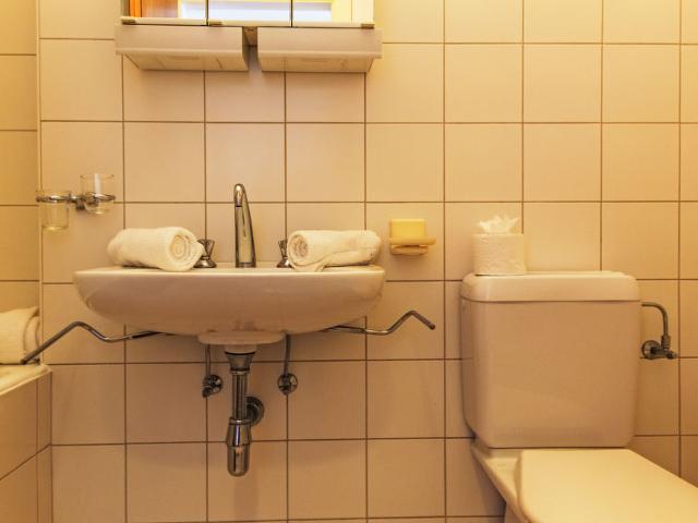 Flat Valaisia 35A - Nendaz