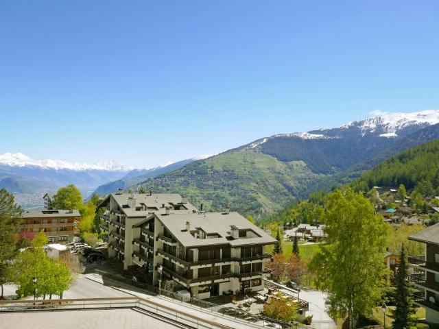Flat Valaisia 35A - Nendaz