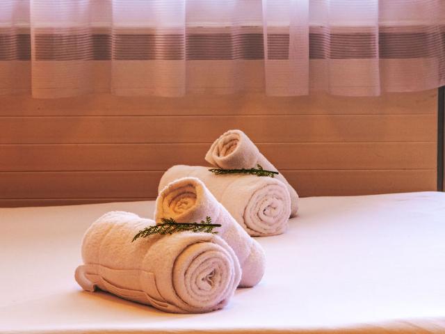 Flat Valaisia 35A - Nendaz