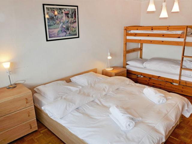 Flat Valaisia 44b - Nendaz