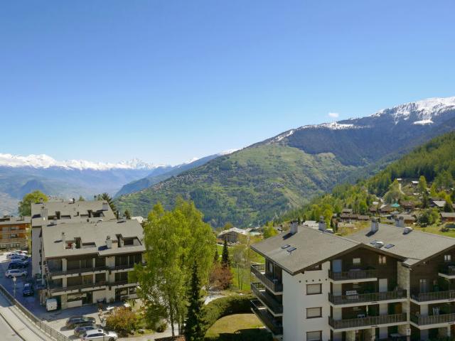 Flat Valaisia 44b - Nendaz