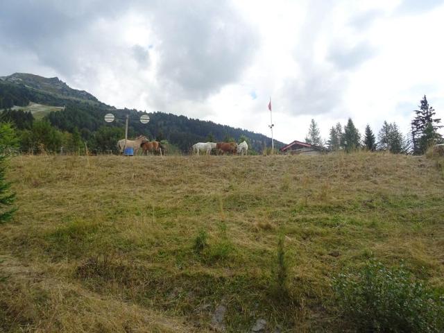 Appartements Cachette - Les Arcs 1600