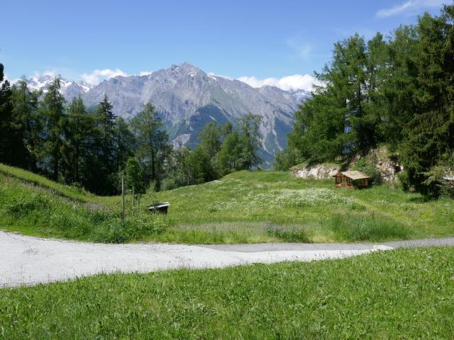 Châlet Y-Gouria - Nendaz
