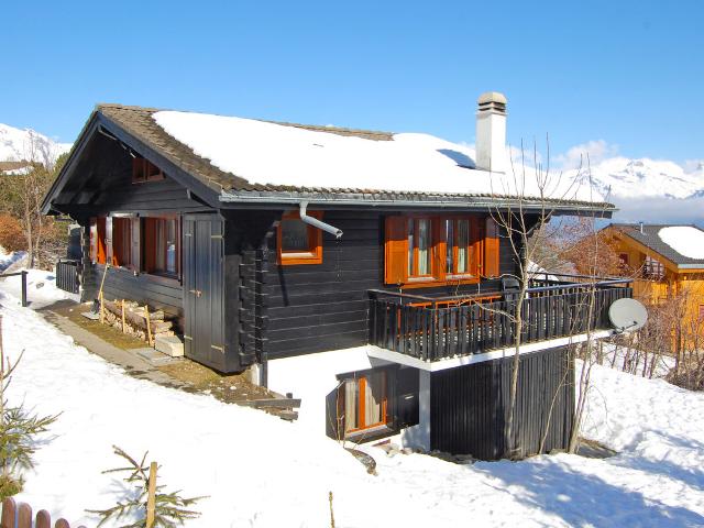 Châlet Sven Heul - Nendaz