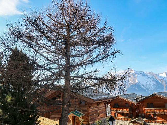 Flat Eden Roc 53 - Nendaz