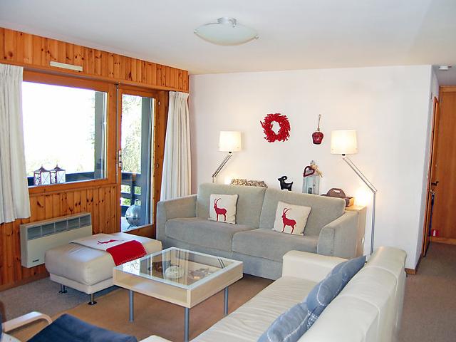 Flat Prachalier I No6 - Nendaz