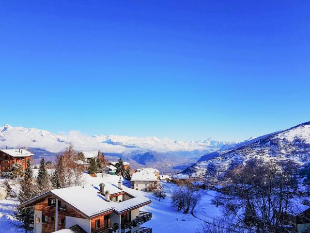 appartement Arnica 10 - Nendaz