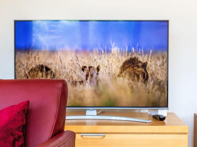 Flat Grands Ducs 101G - Nendaz