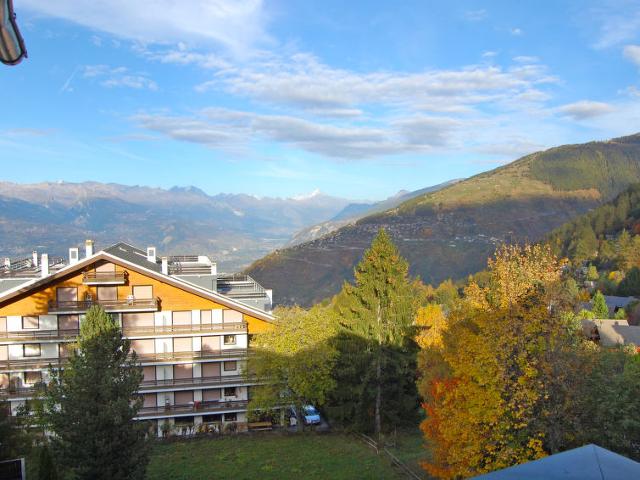 Flat Montfort 17A - Nendaz