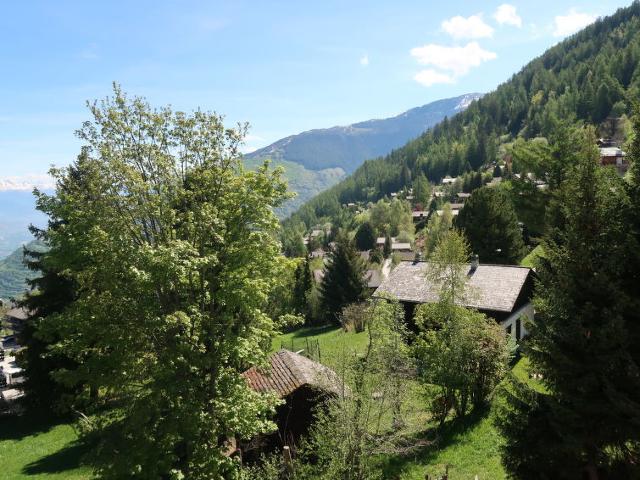 Flat Montfort 9A - Nendaz