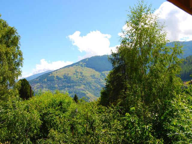 appartement Raccard 14 - Nendaz