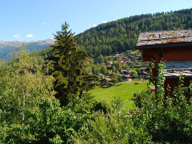 appartement Raccard 14 - Nendaz