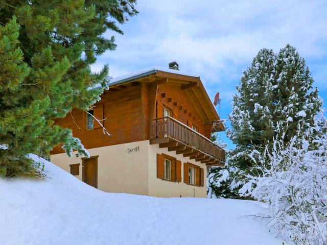 Châlet Mungg - Nendaz