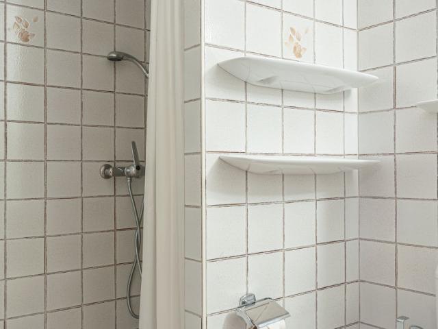 Flat Hauts De Nendaz B OP - Nendaz