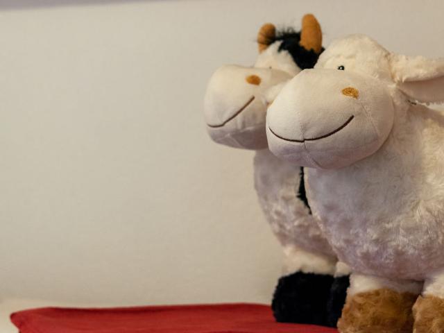 Flat Christiania I G8 - Nendaz