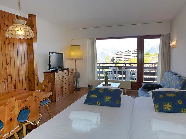 Flat Christiania 2 Sbel - Nendaz