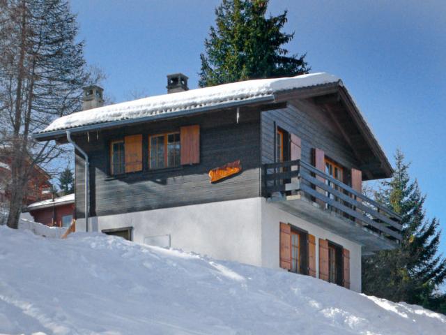 Châlet Hildegarde - Nendaz
