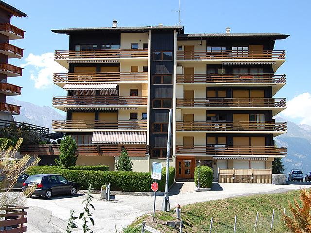 Flat Les Arolles A1 - Nendaz