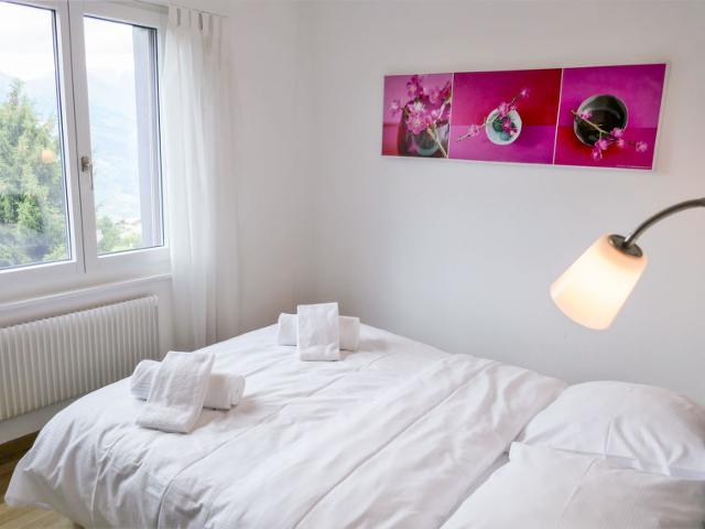 Flat Les Arolles A1 - Nendaz