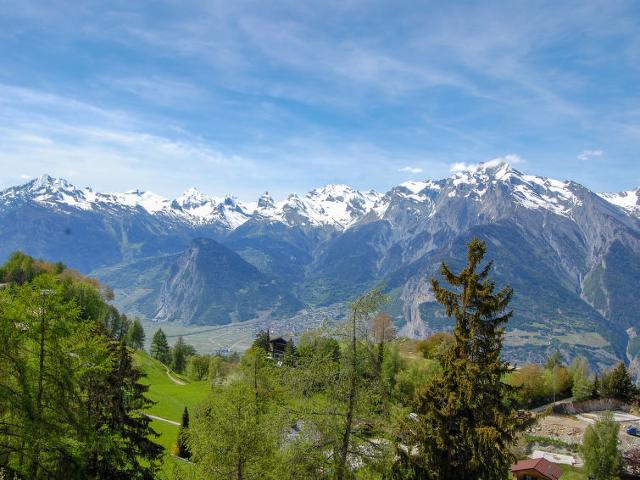 Flat Rossignol C4 - Nendaz