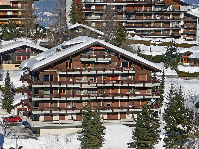 Flat Baccara A1 - Nendaz