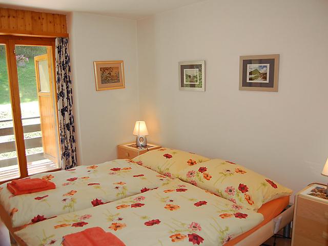 Flat Bietschorn 33 - Nendaz