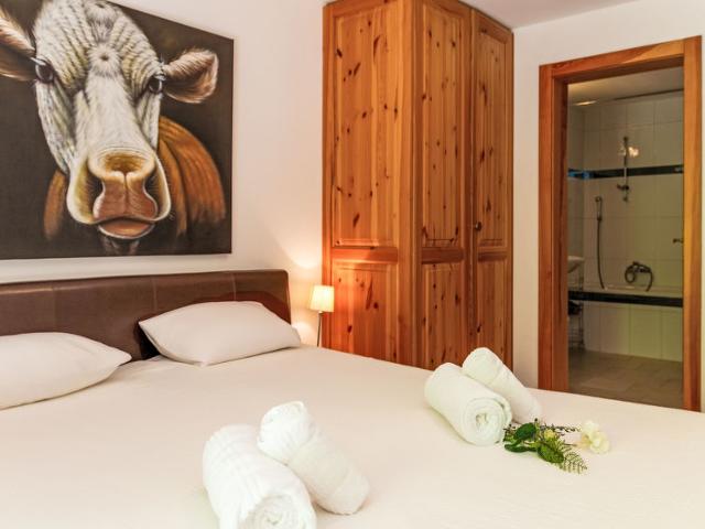 Flat Grand Panorama B3 - Nendaz