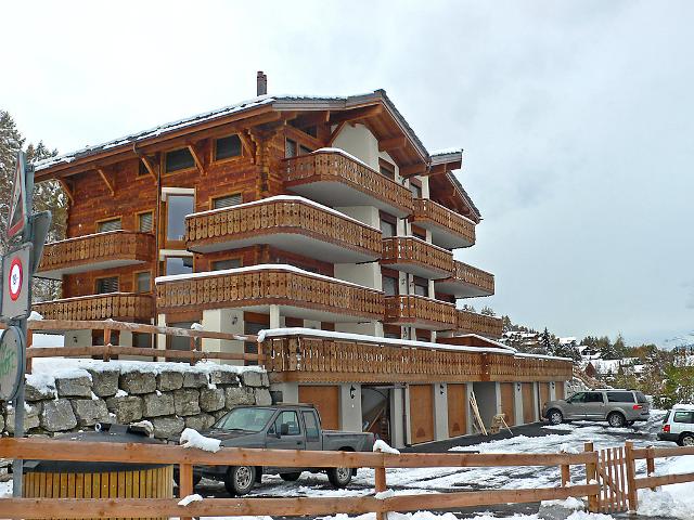 appartement Le Chardon Bleu 101 - Nendaz