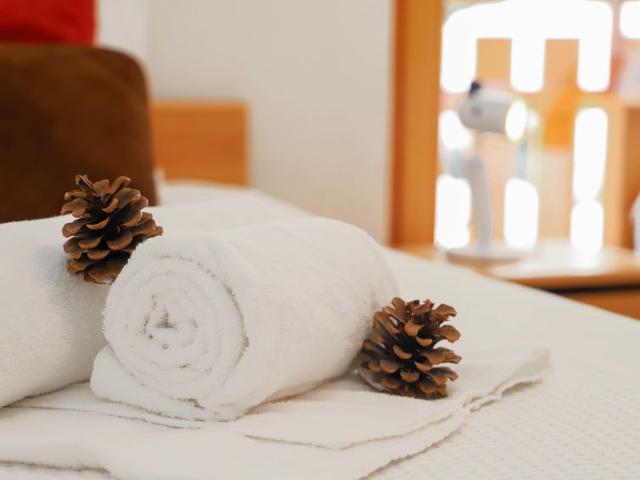 Flat Domaine des Reines B4 - Nendaz