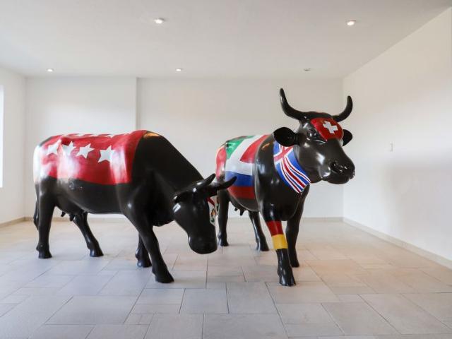 Flat Domaine des Reines C1 - Nendaz