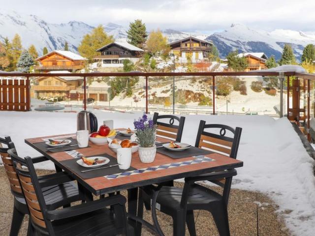 Flat Domaine des Reines C1 - Nendaz