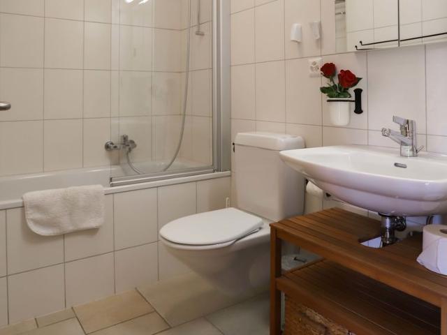 Flat Domaine des Reines D1A - Nendaz