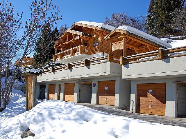 Chalet Bardane CH1961.675.1 - Nendaz